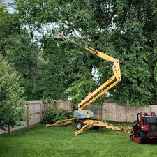 Best Hedge Trimming  in Farmerville, LA